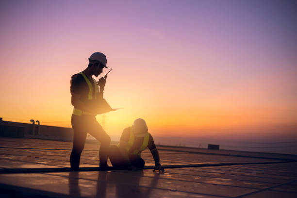 Best Metal Roofing Contractor  in Amboy, IL